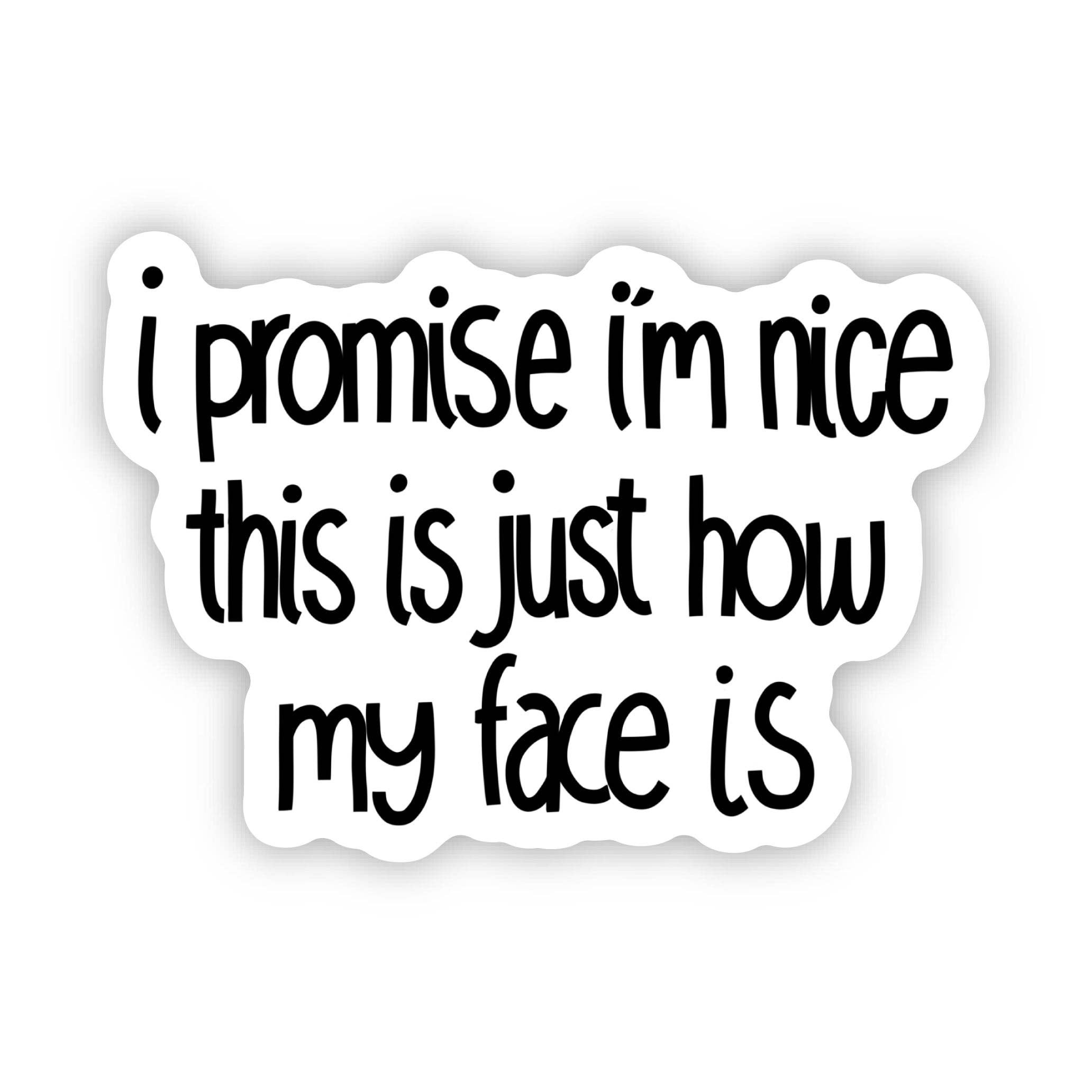 Big Moods - I Promise I'm Nice This Is Just How My Face Is Text Sticker